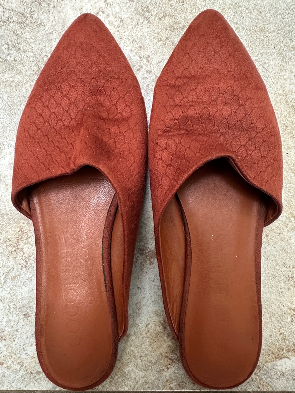 Coconuts by Matisse Pointed Slip-On Mules in Rust